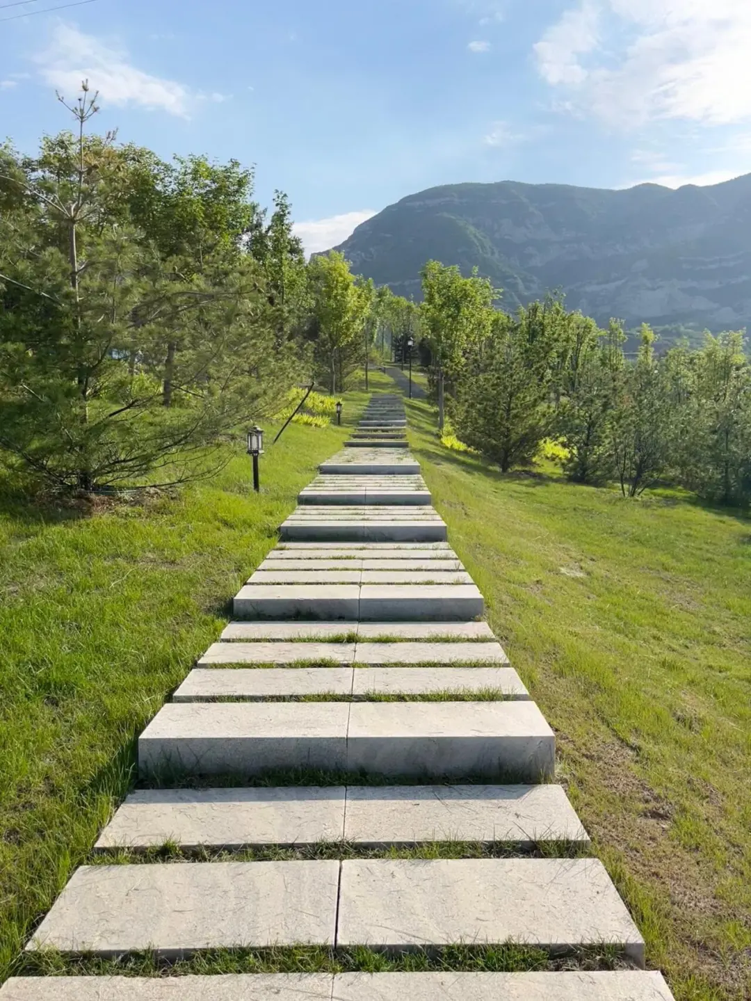 🌿 汾河四期 | 解锁太原“城市绿肺”N种玩法