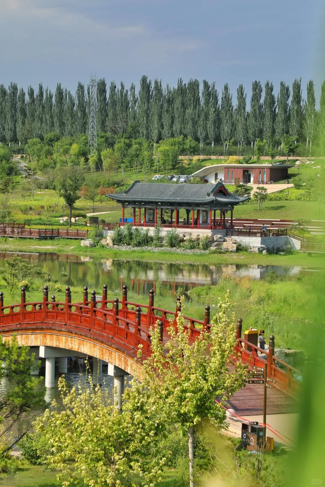 🌿 汾河四期 | 解锁太原“城市绿肺”N种玩法