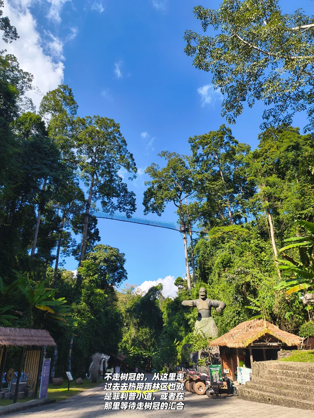 坐高铁去望天树景区