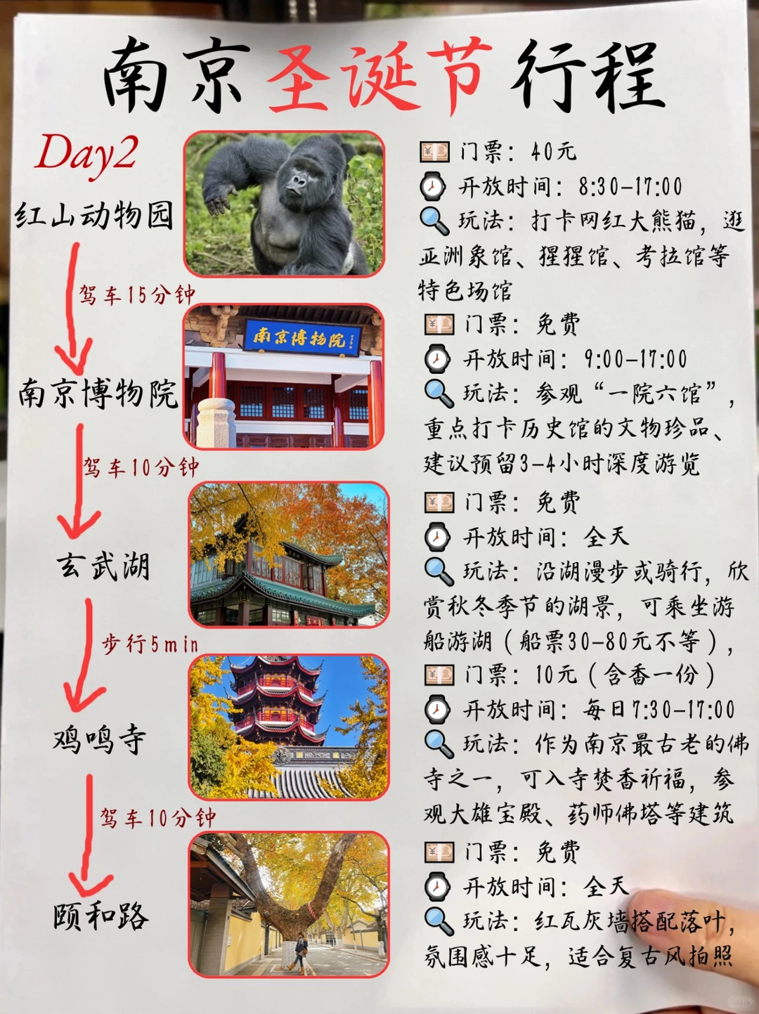 南京冬季3日游保姆攻略，景点/美食/避坑