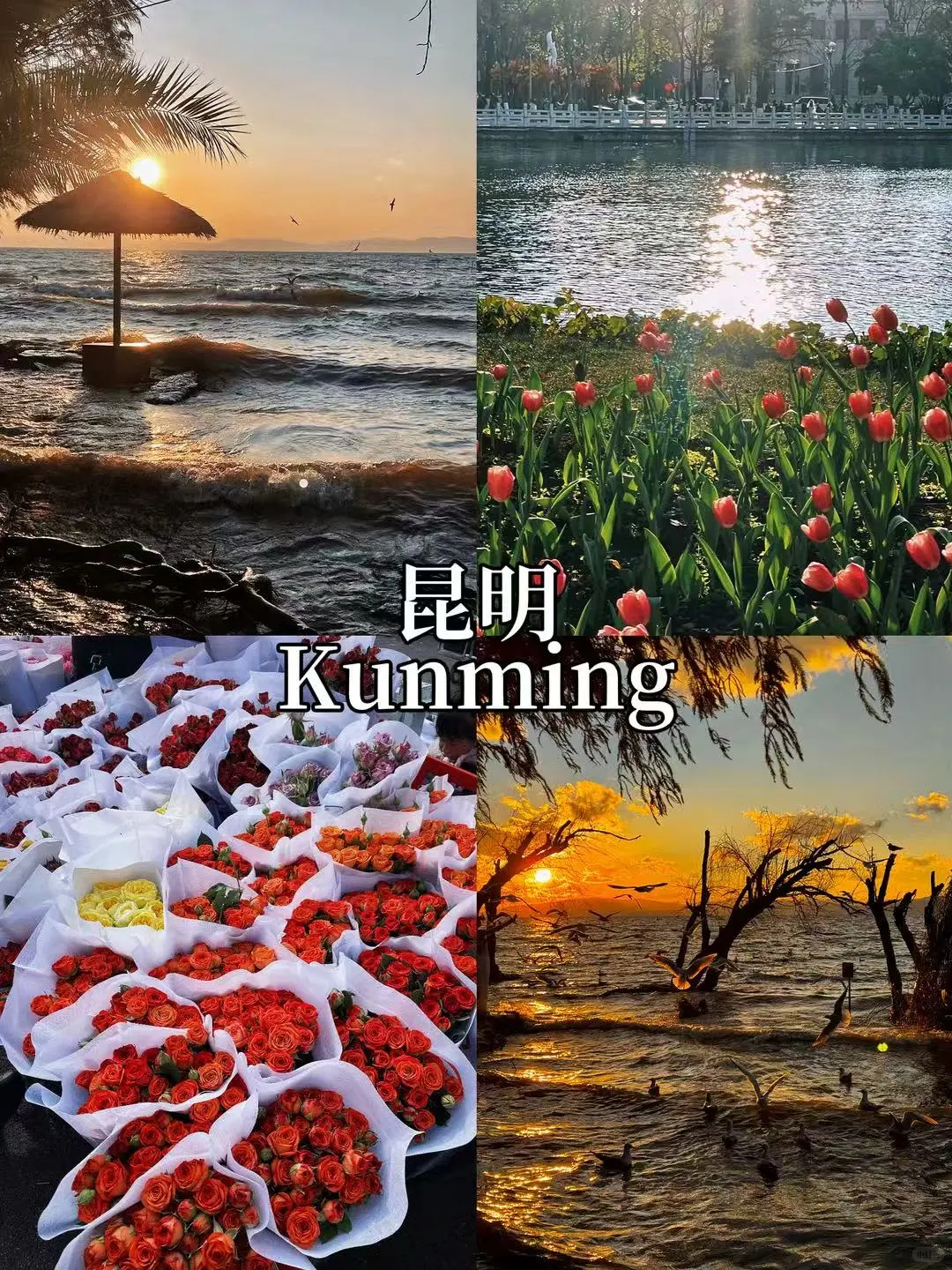 🇨🇳中国冬季避寒胜地｜Warm Winter Escapes