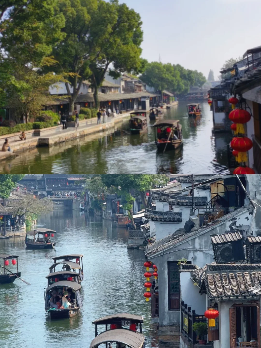 社恐友好!西塘避开人潮的逛吃逛玩路线