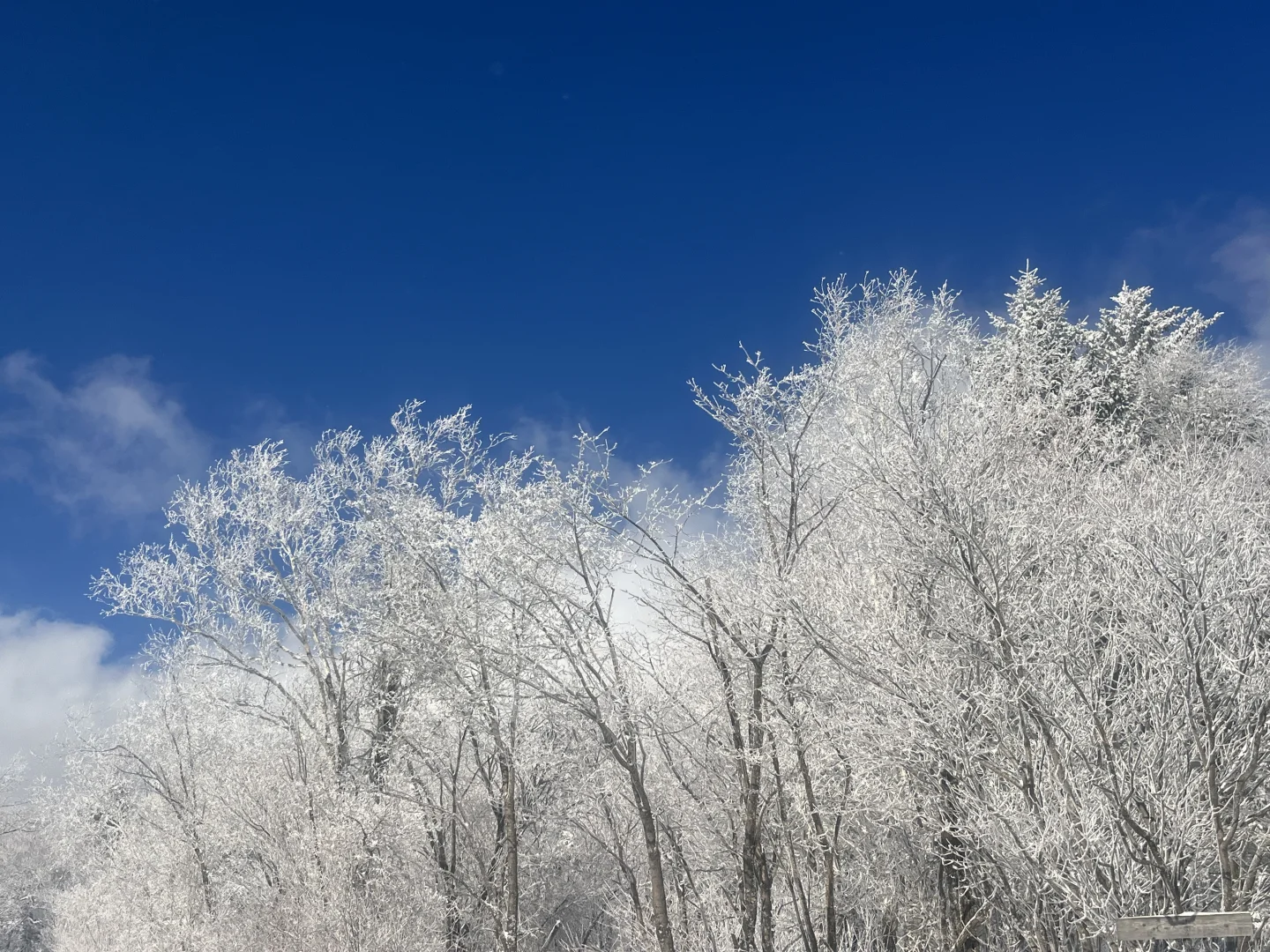 雪岭 又可以玩雪了