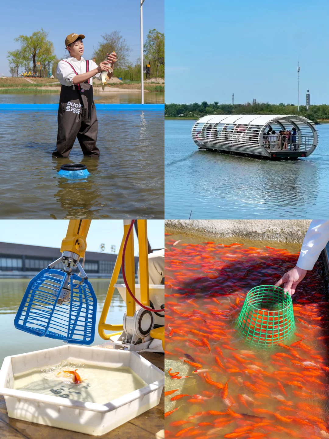 发朋友圈被问爆‼️真不是国外,在河北‼️