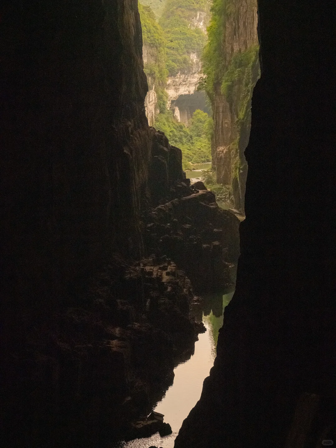 太绝了!寻到了洞中的侏罗纪|穿越时空