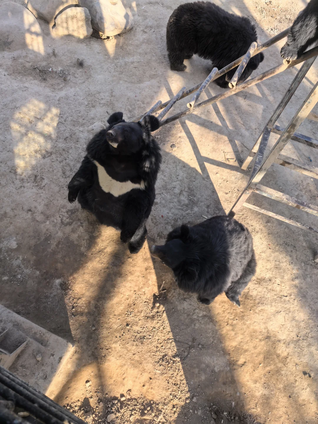 这里真的适合带娃来玩呀!强推