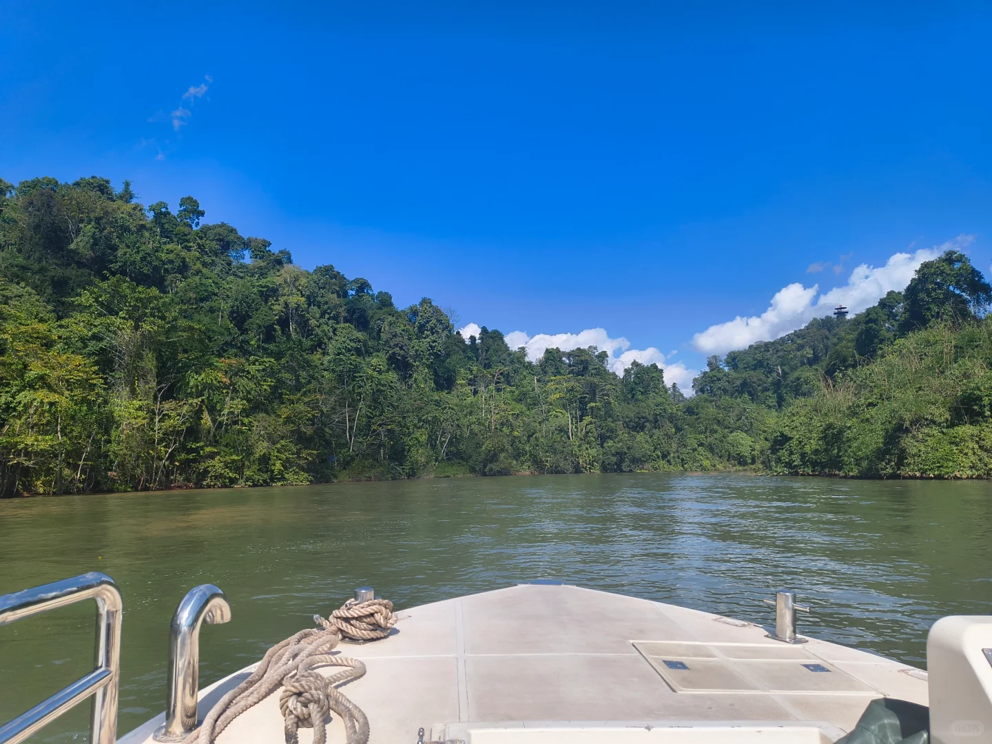 坐高铁去望天树景区