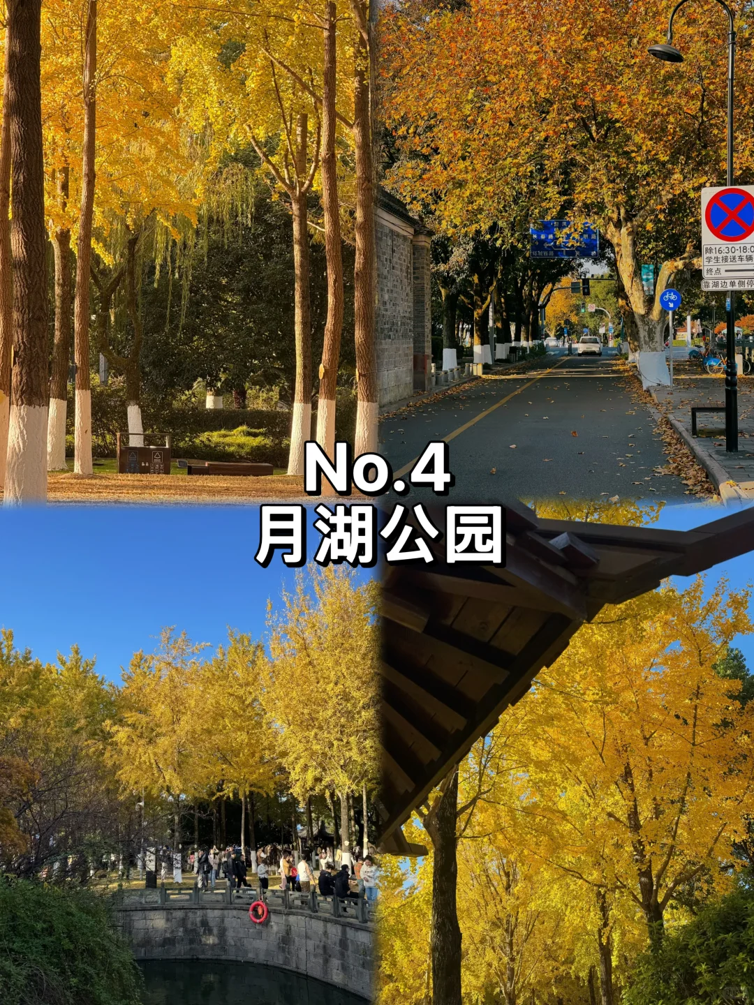 宁波必打卡九大景点推荐✅