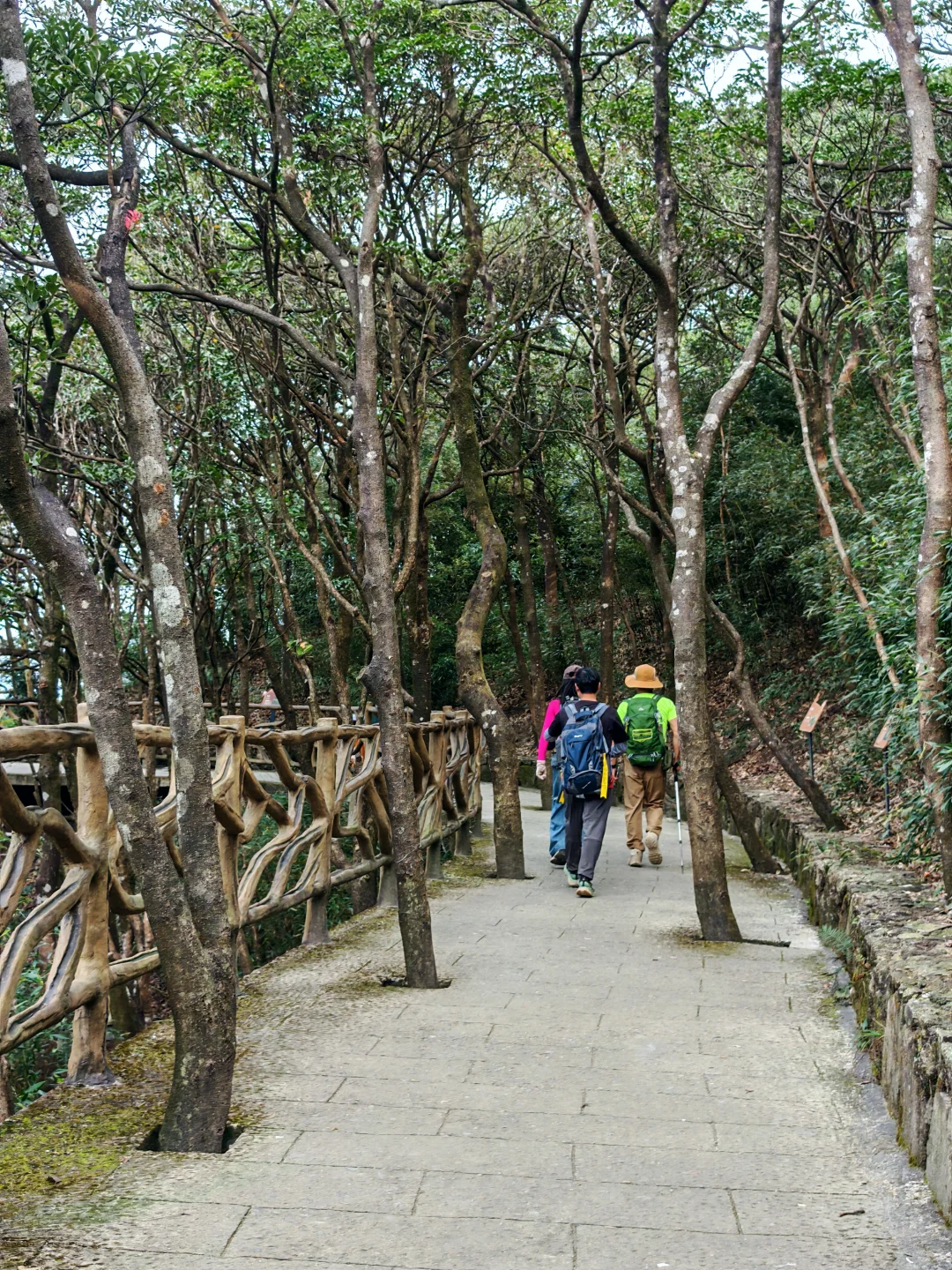 罗浮山亲子游|带娃疯玩一整天还不想走!