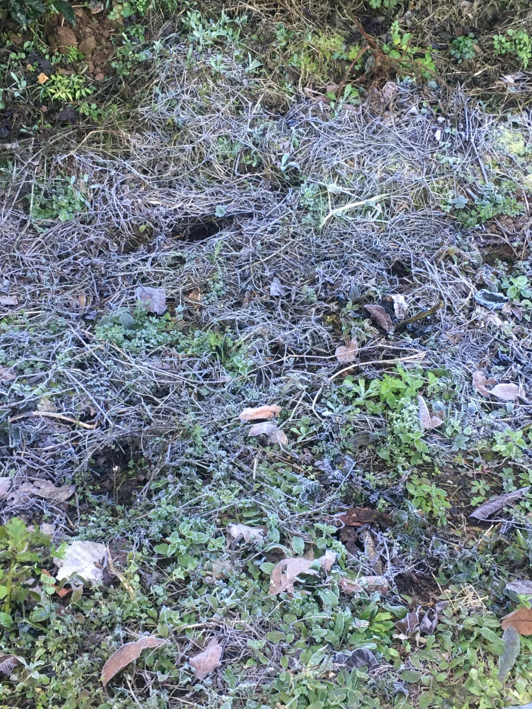 回村的快乐！！！