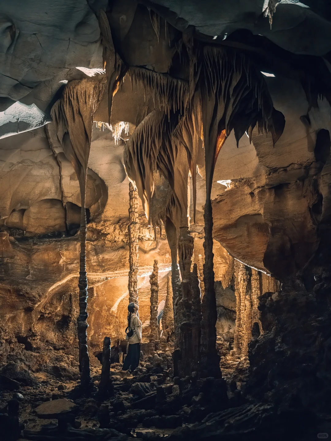 太绝了!寻到了洞中的侏罗纪|穿越时空