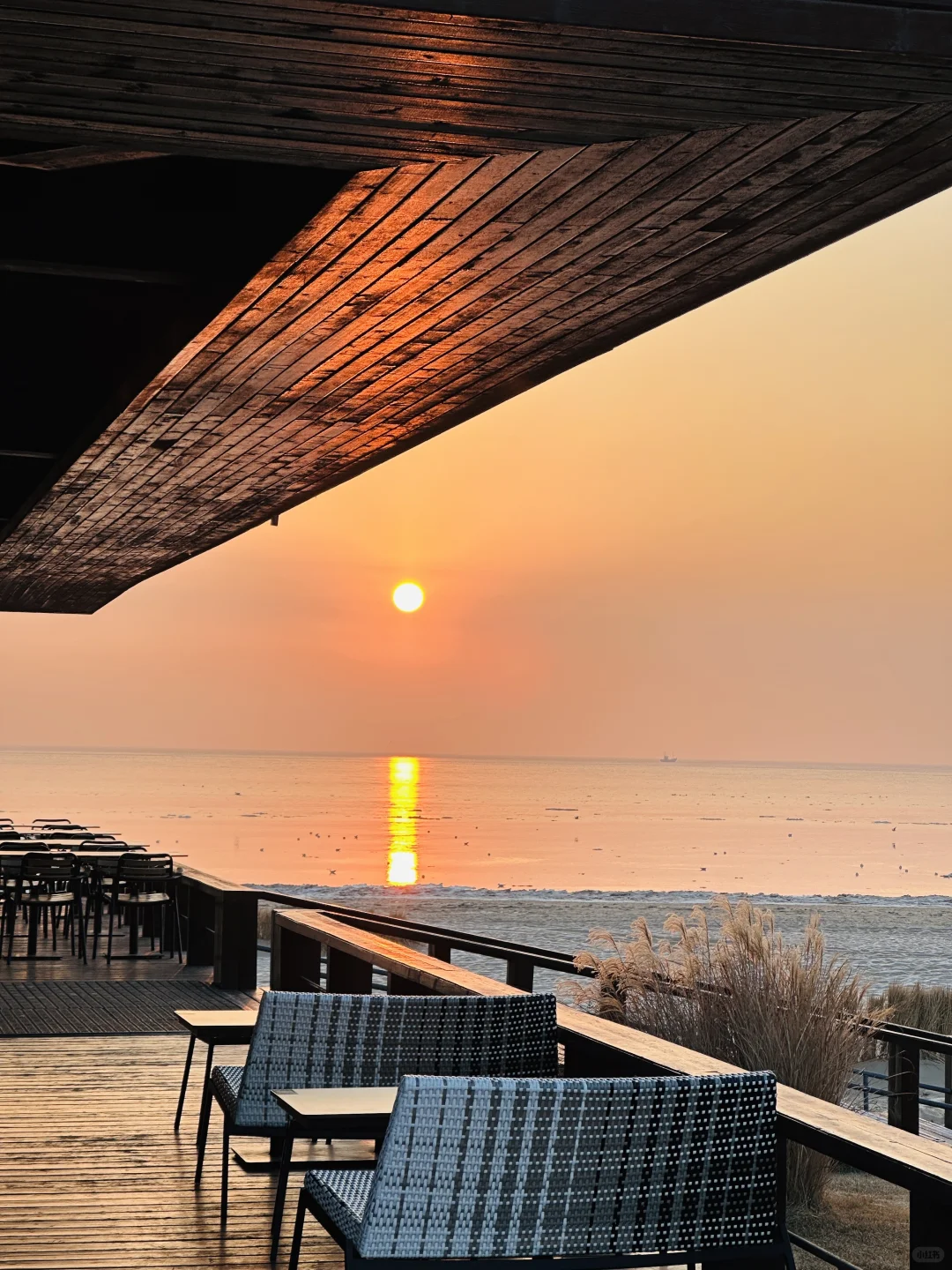 我为了这18张live图特意去了趟秦皇岛🌊