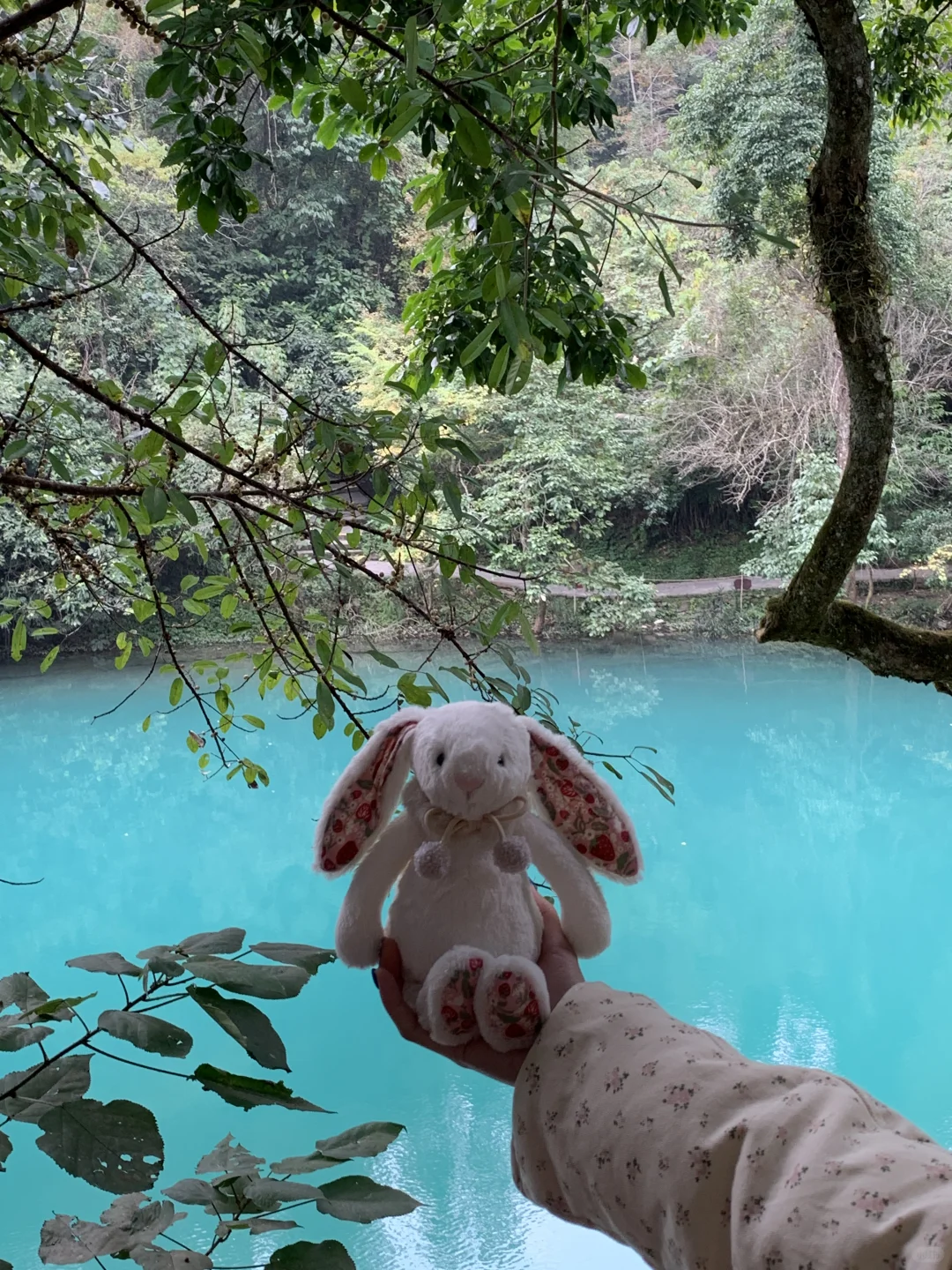 我将推荐全世界的人去贵州玩！