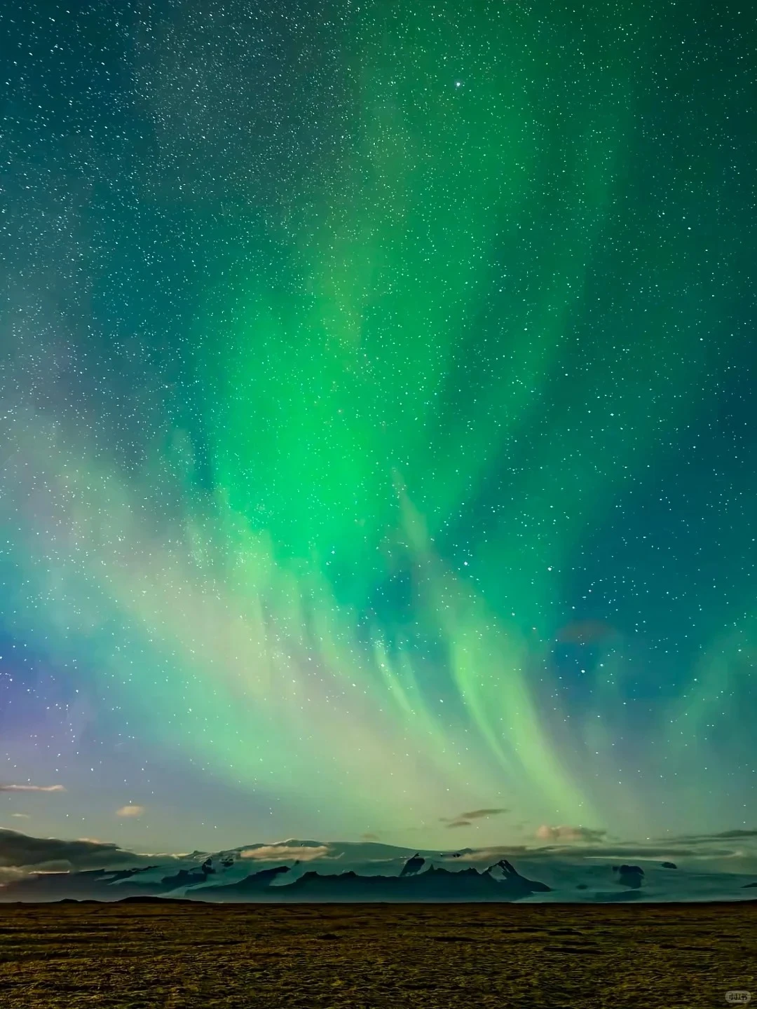 漠河📍比俄罗斯便宜3倍，被严重低估的极光地