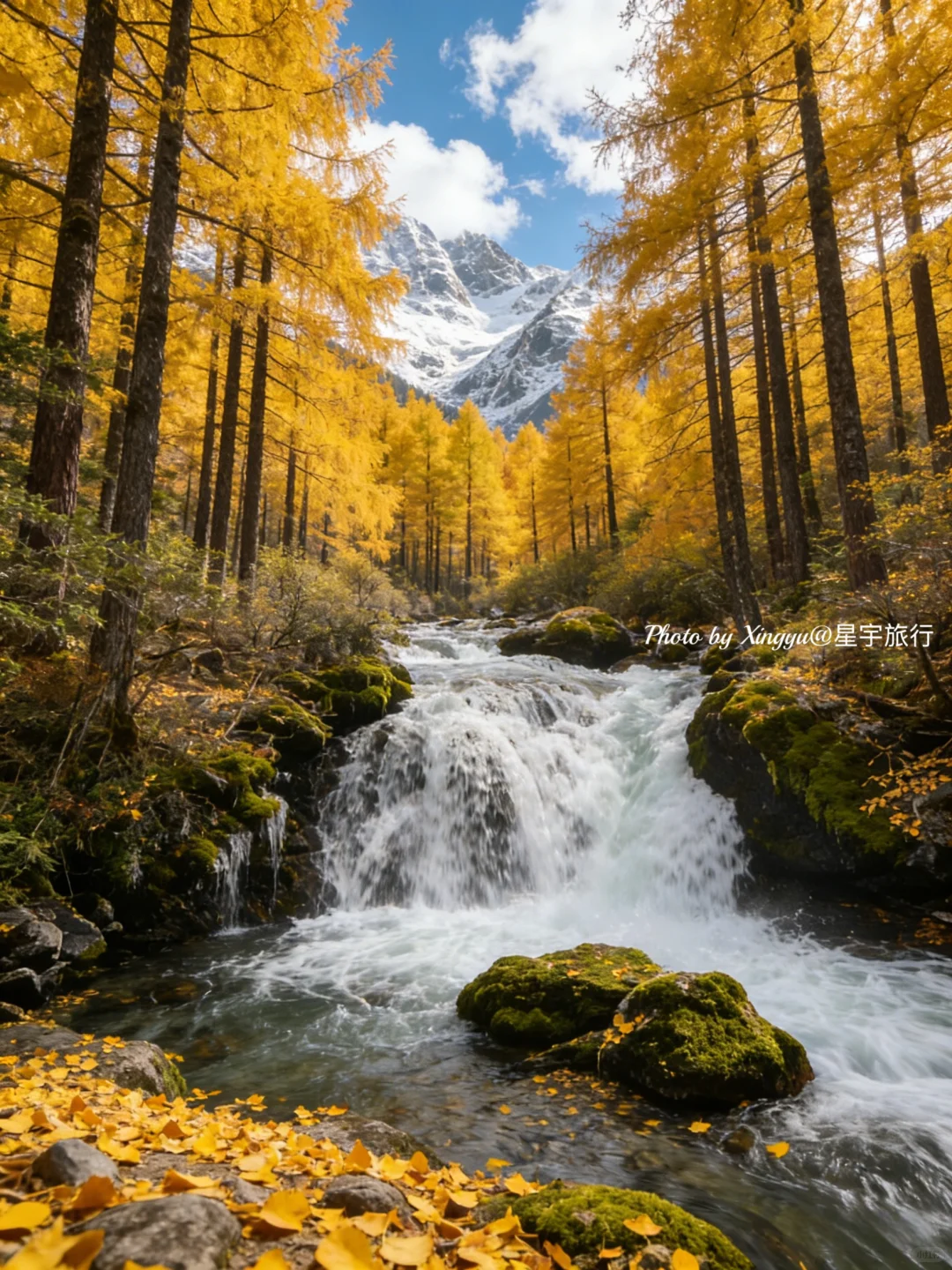 秋冬旅行必去景点