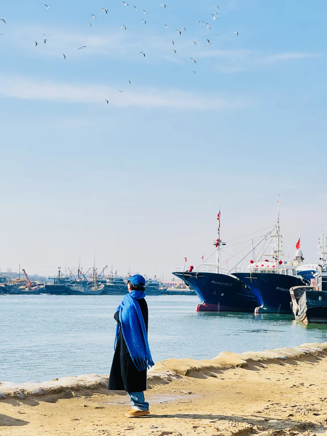 我为了这18张live图特意去了趟秦皇岛🌊