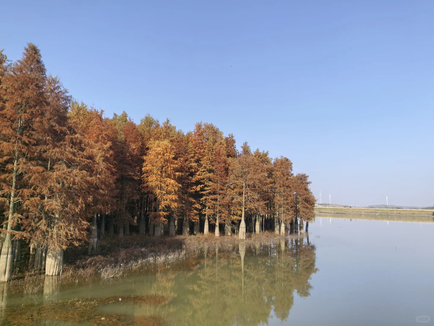 📍深秋止马岭|南京亲子徒步天花板🍁💕