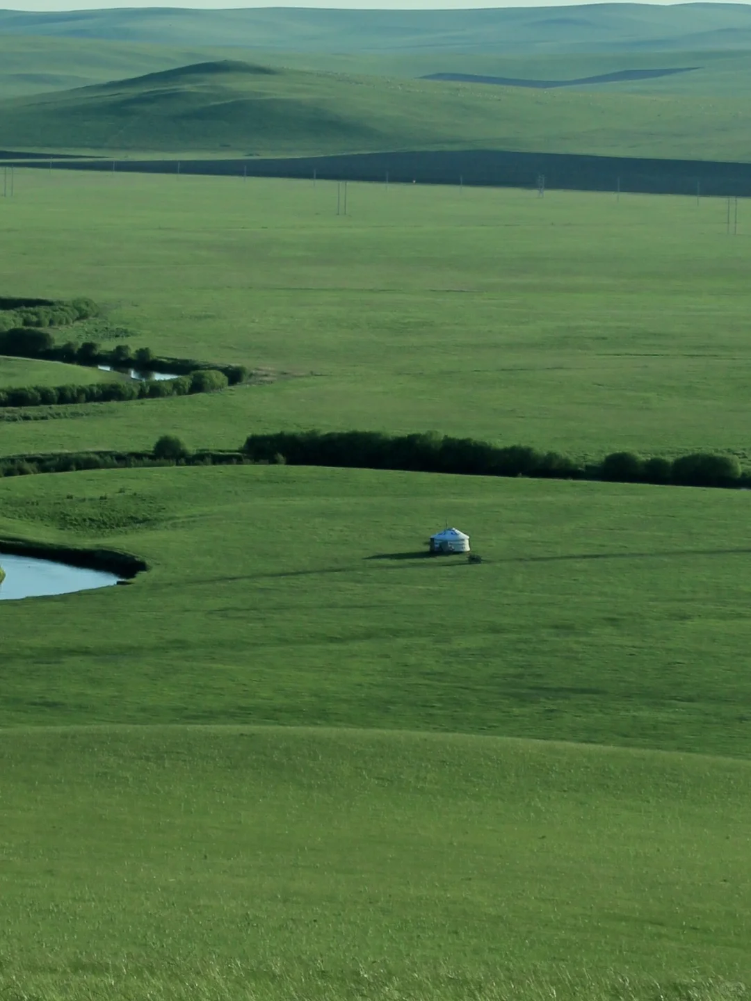 大草原太好拍了!