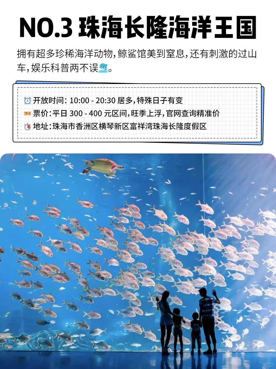 年终总结🎉2024国内必打卡的15大主题公园💕