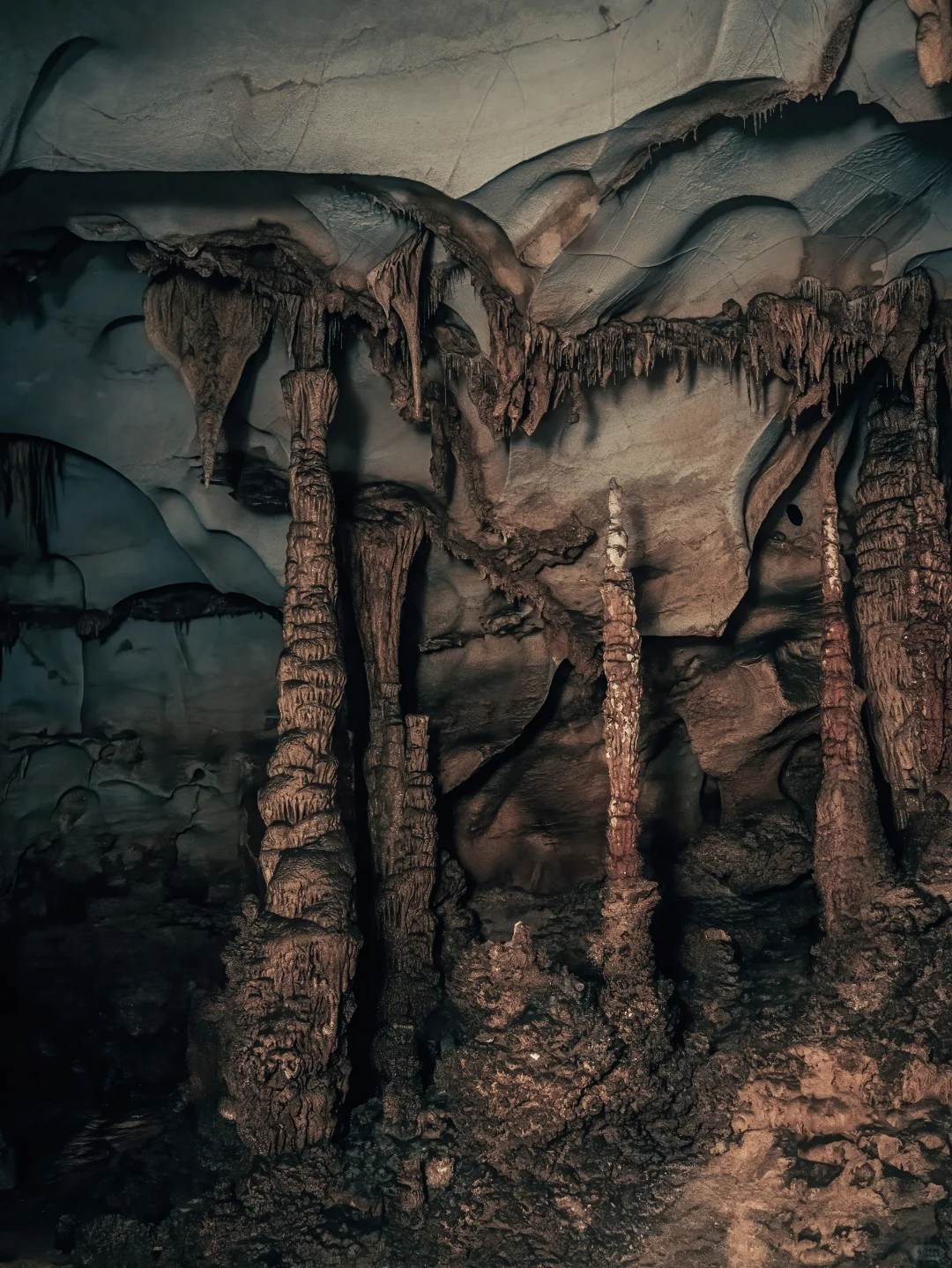 太绝了!寻到了洞中的侏罗纪|穿越时空