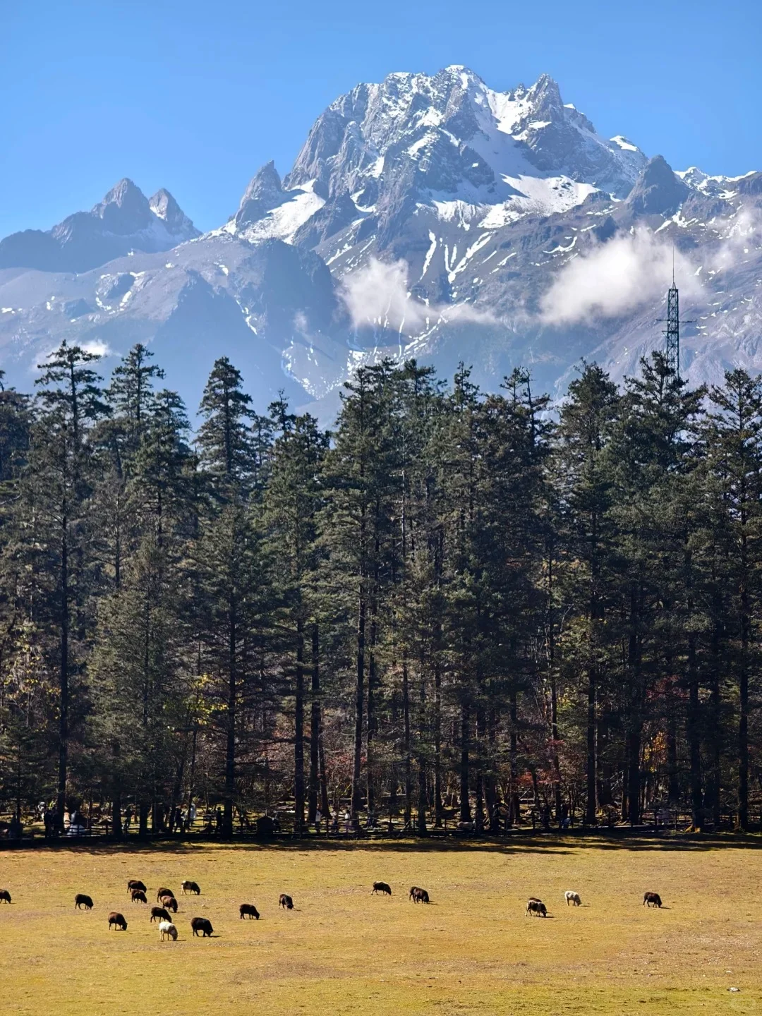📍玉龙雪山实况!真实建议12月要来的😅