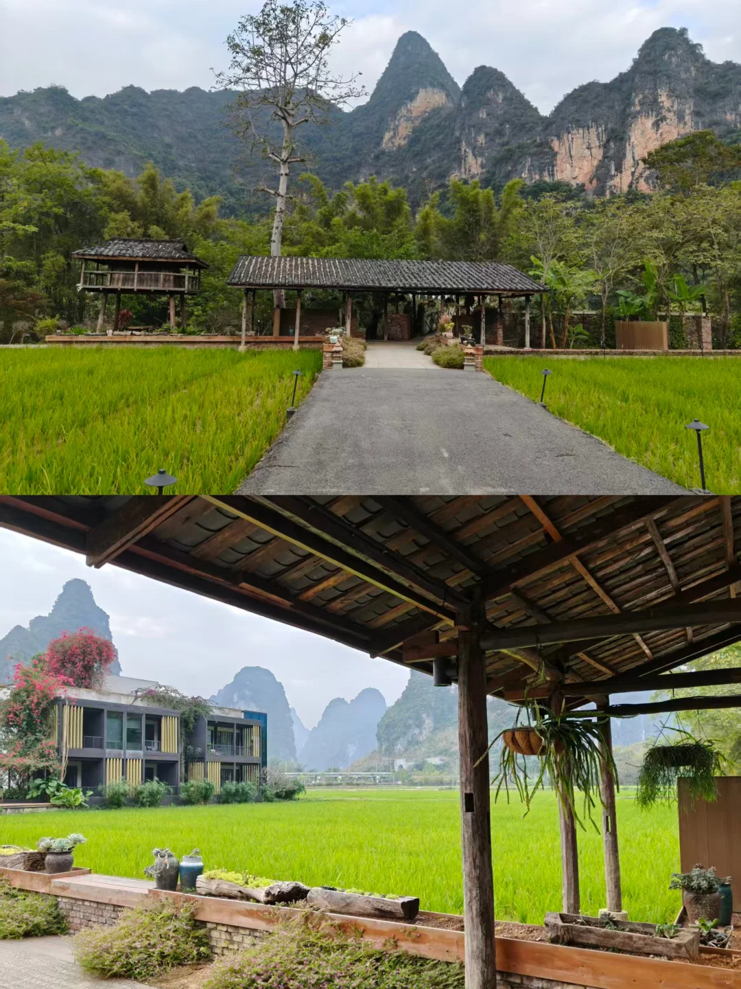 明仕田园景区12月6日现状