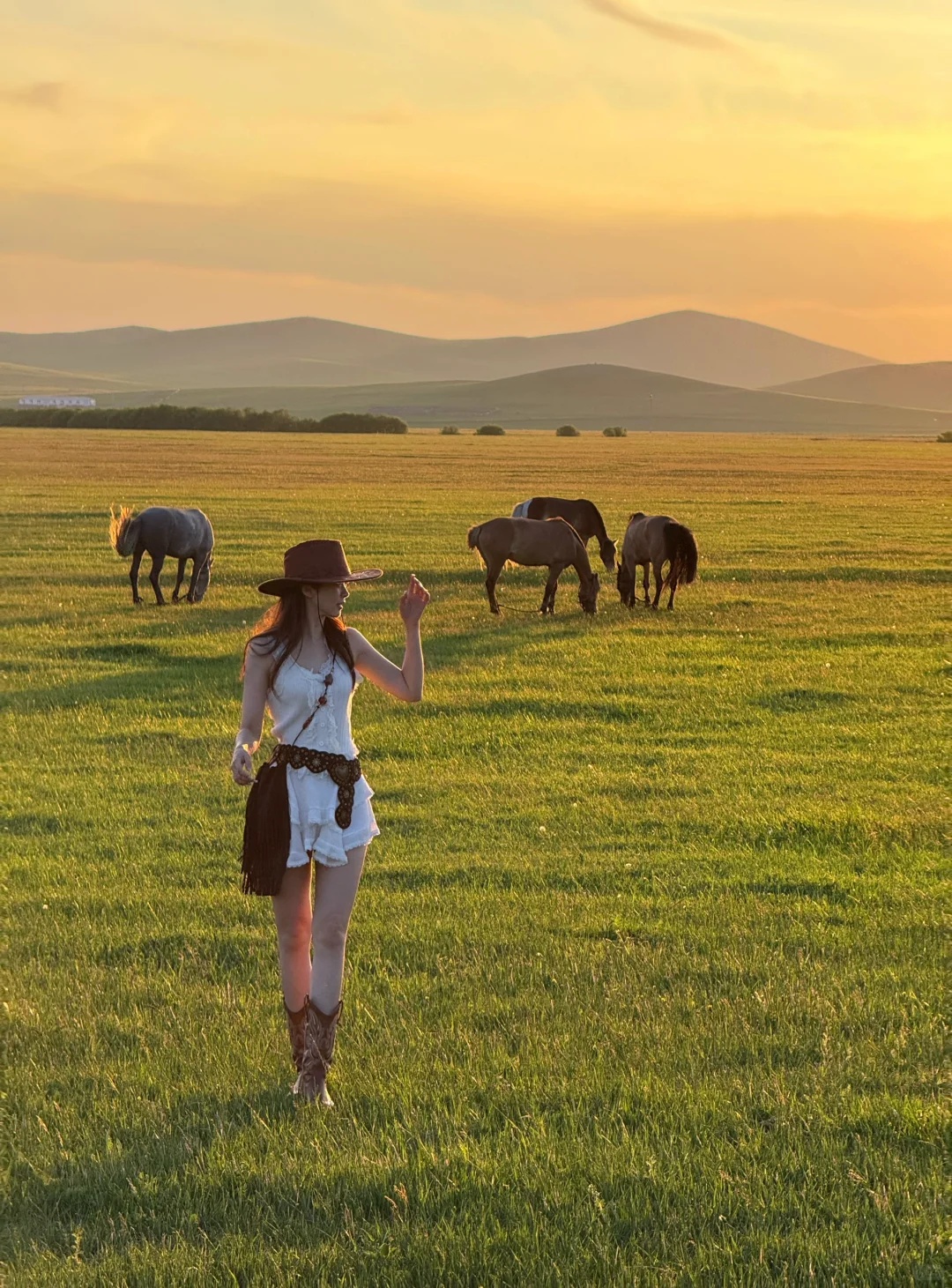 大草原太好拍了!