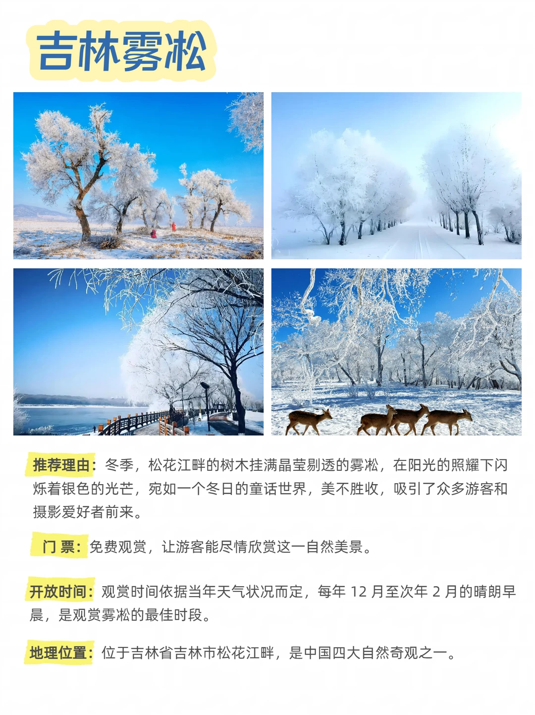 东北三省十大必去景点推荐|一定要去看啊❗️