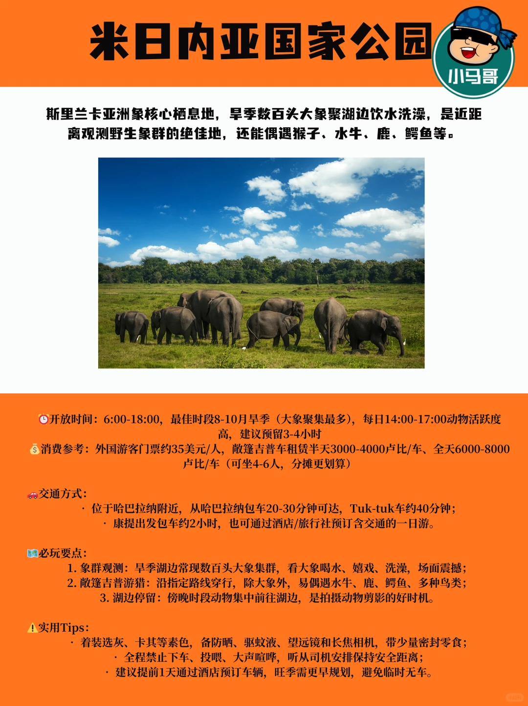 🇱🇰斯里兰卡必玩景点大全|一篇搞定无废话