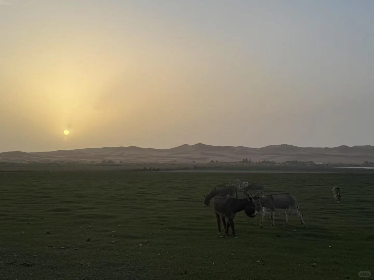 周五出发,周日回,好玩不累的城市
