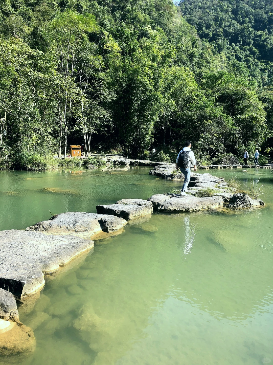 多彩贵州｜水墨画般的荔波大小七孔
