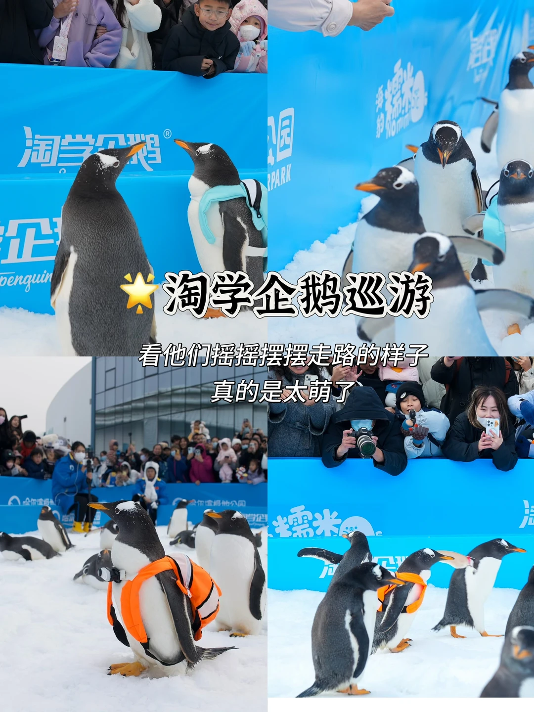 哈尔滨攻略🔥9个必去景点✅花钱少玩得爽🌟