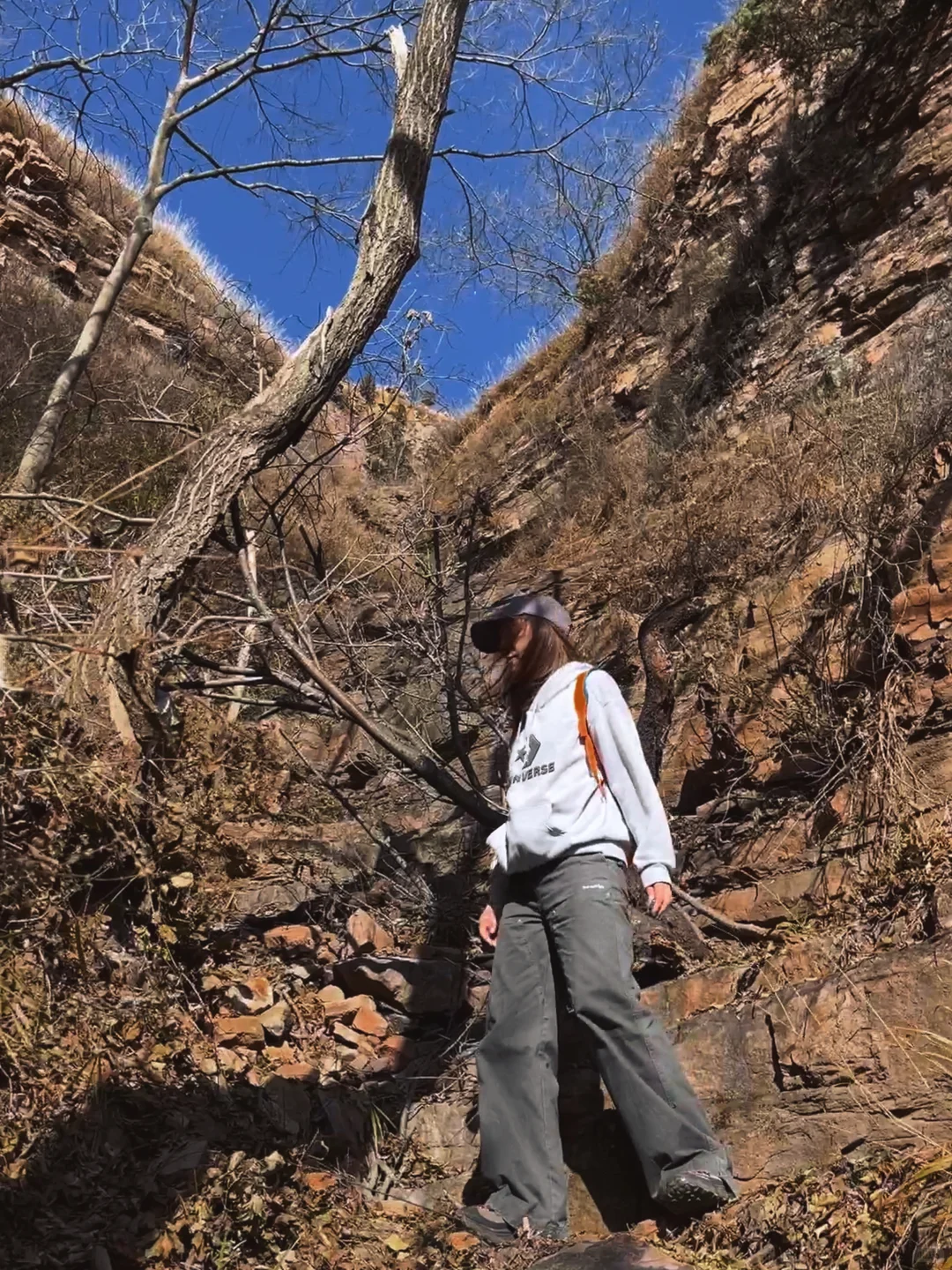 纯野无暇崴脚自负