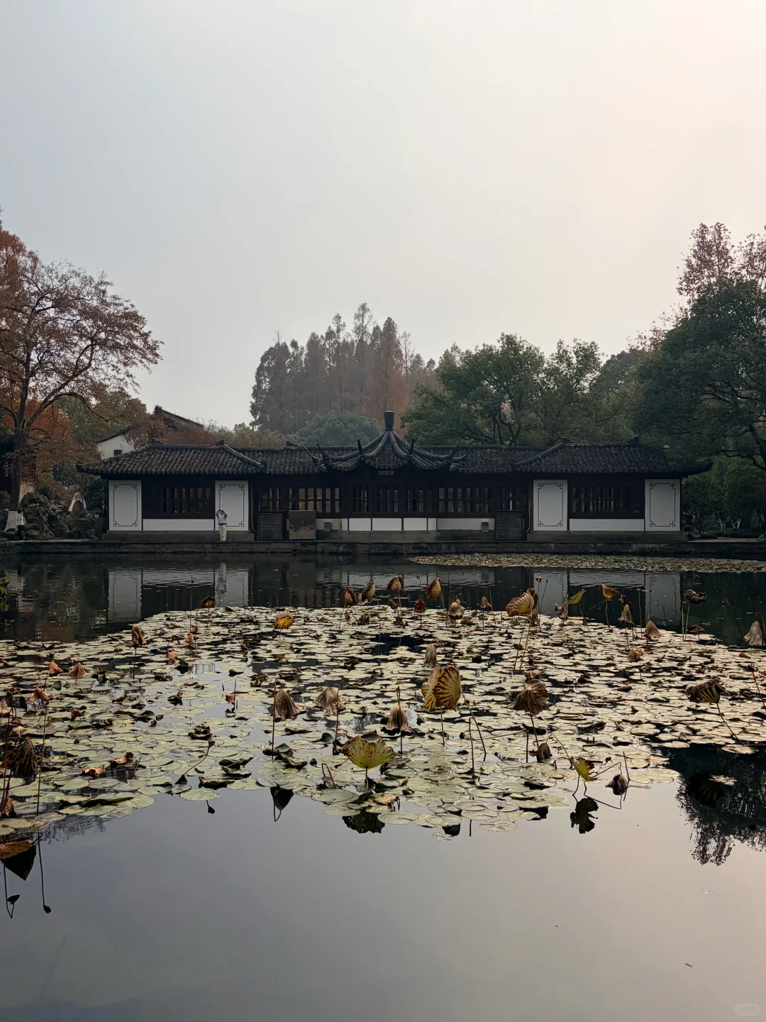 西湖边被低估的郭庄，藏着江南独有的温柔