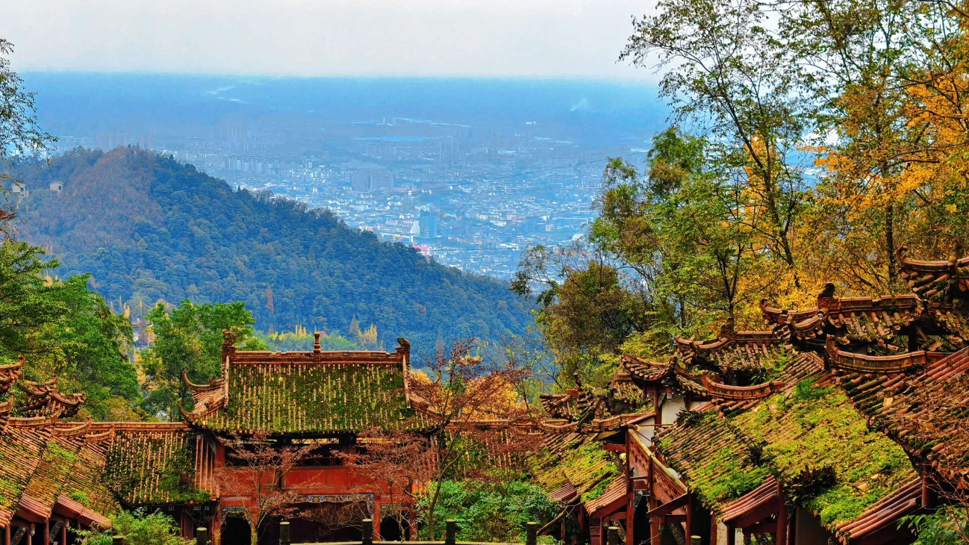 秋日古刹的静谧时光 🍁