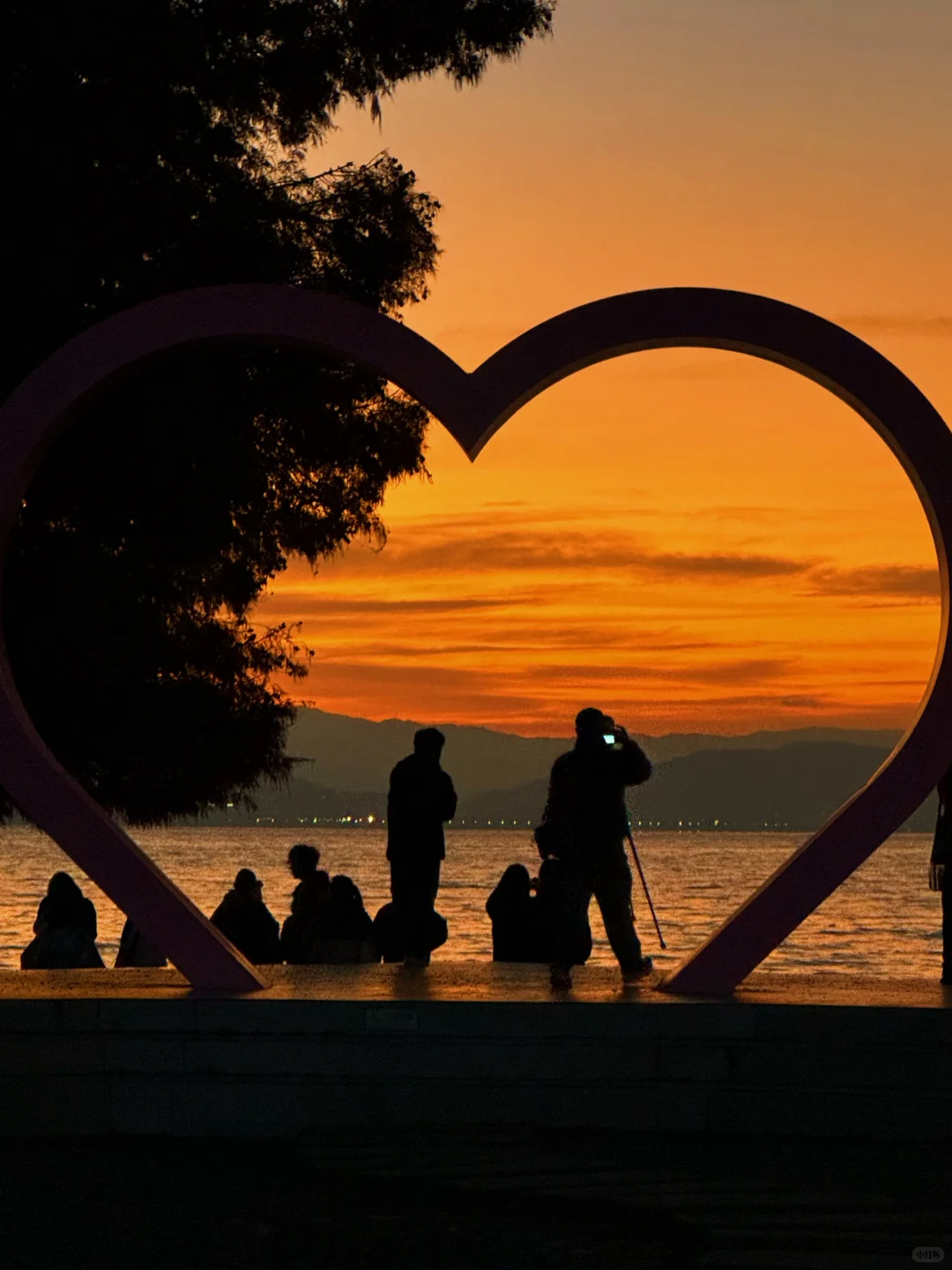 听xhs劝了 和朋友去云南报了个纯玩团后续…