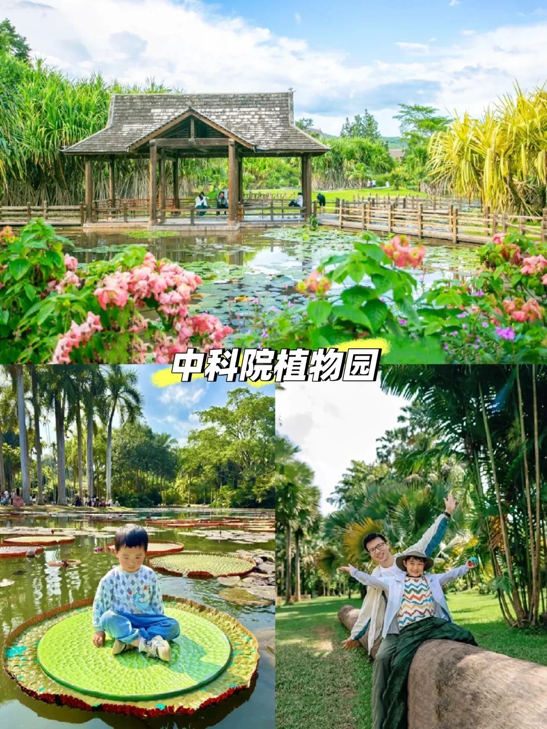 人生建议:带娃去西双版纳,一定要寒假去!