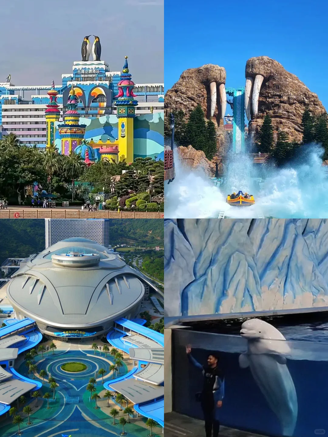 紫啧，一分钟讲清珠海长隆