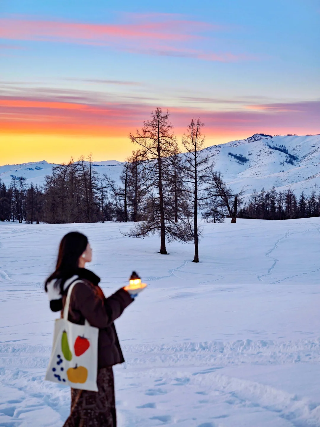 新疆冬天纯玩小团｜阿勒泰7日慢奢冰雪王国