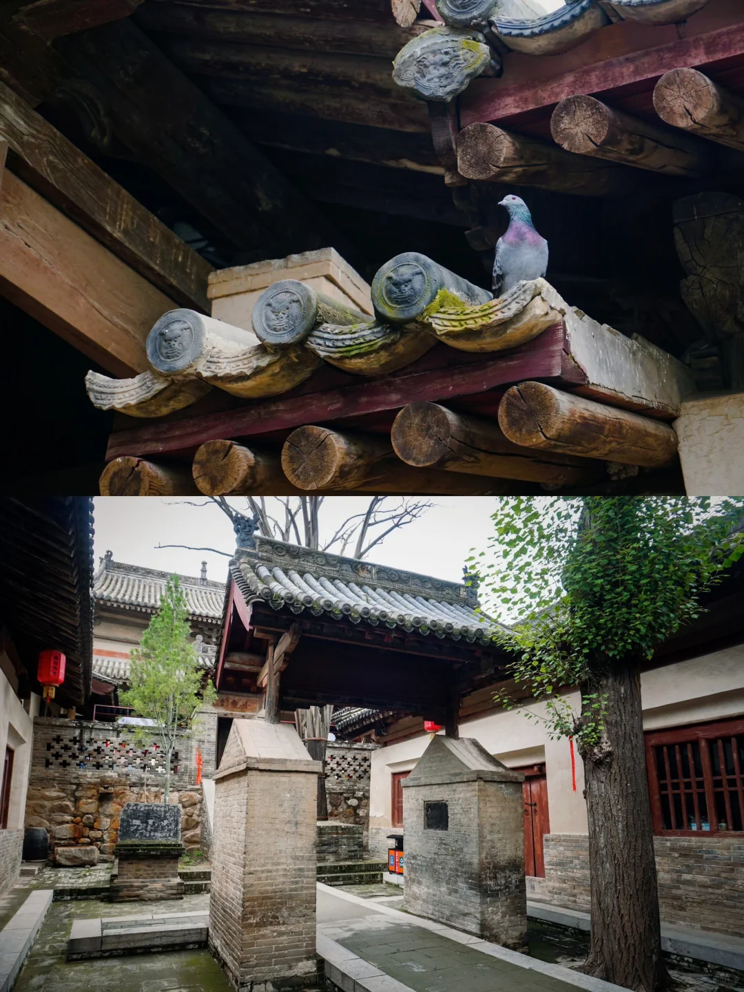 福胜寺丨最美渡海观音🌊三佛洞开放啦✨