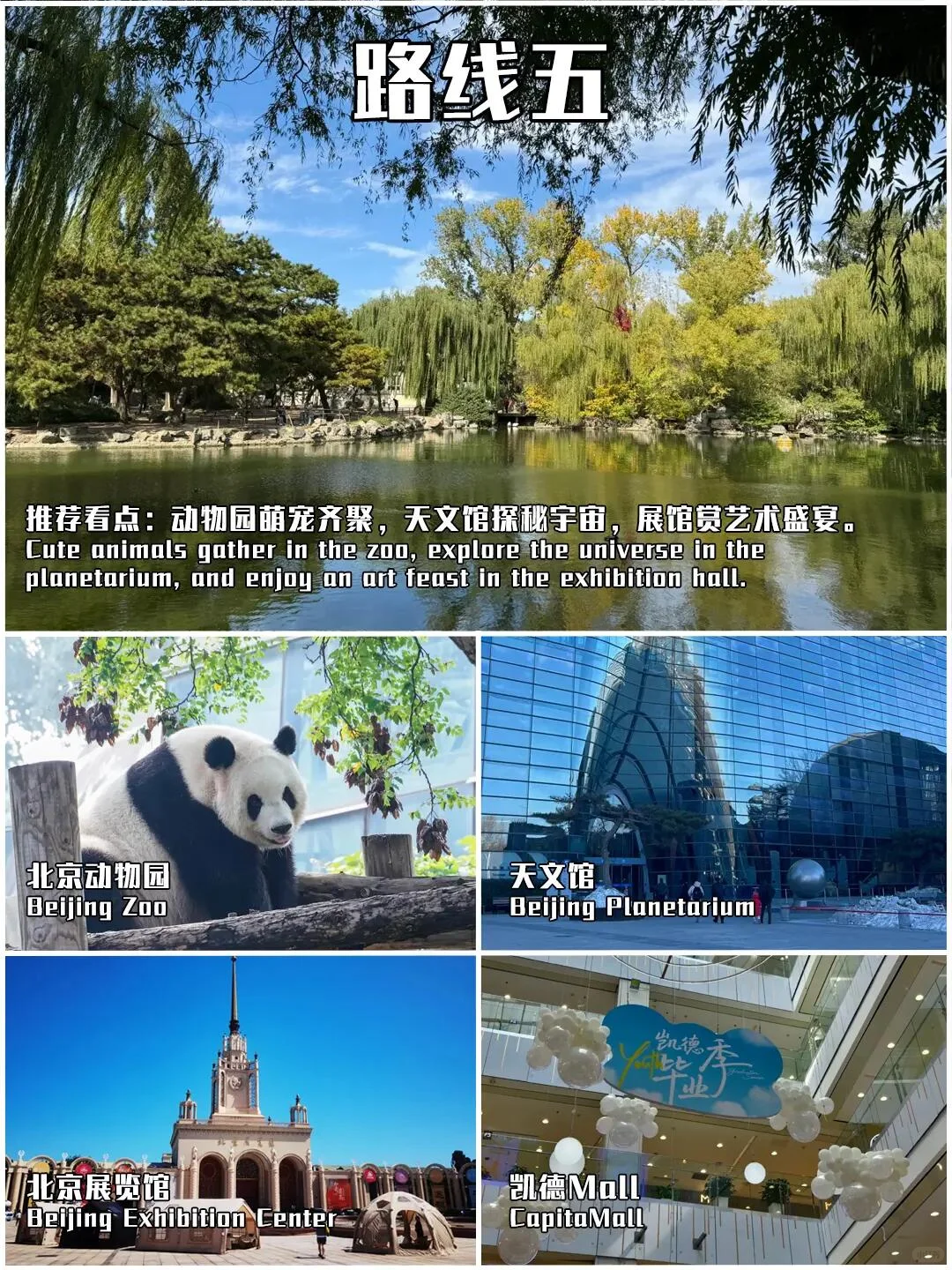 周一不闭馆❗12大景点攻略+7条全天游玩路线