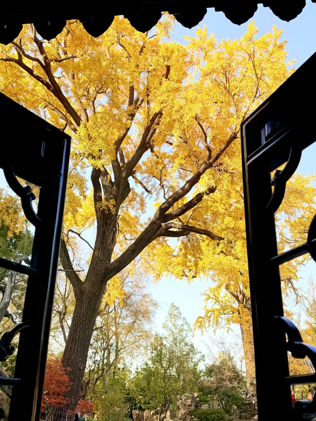 苏州12月赏秋🍂citywalk保姆级攻略(附路线)