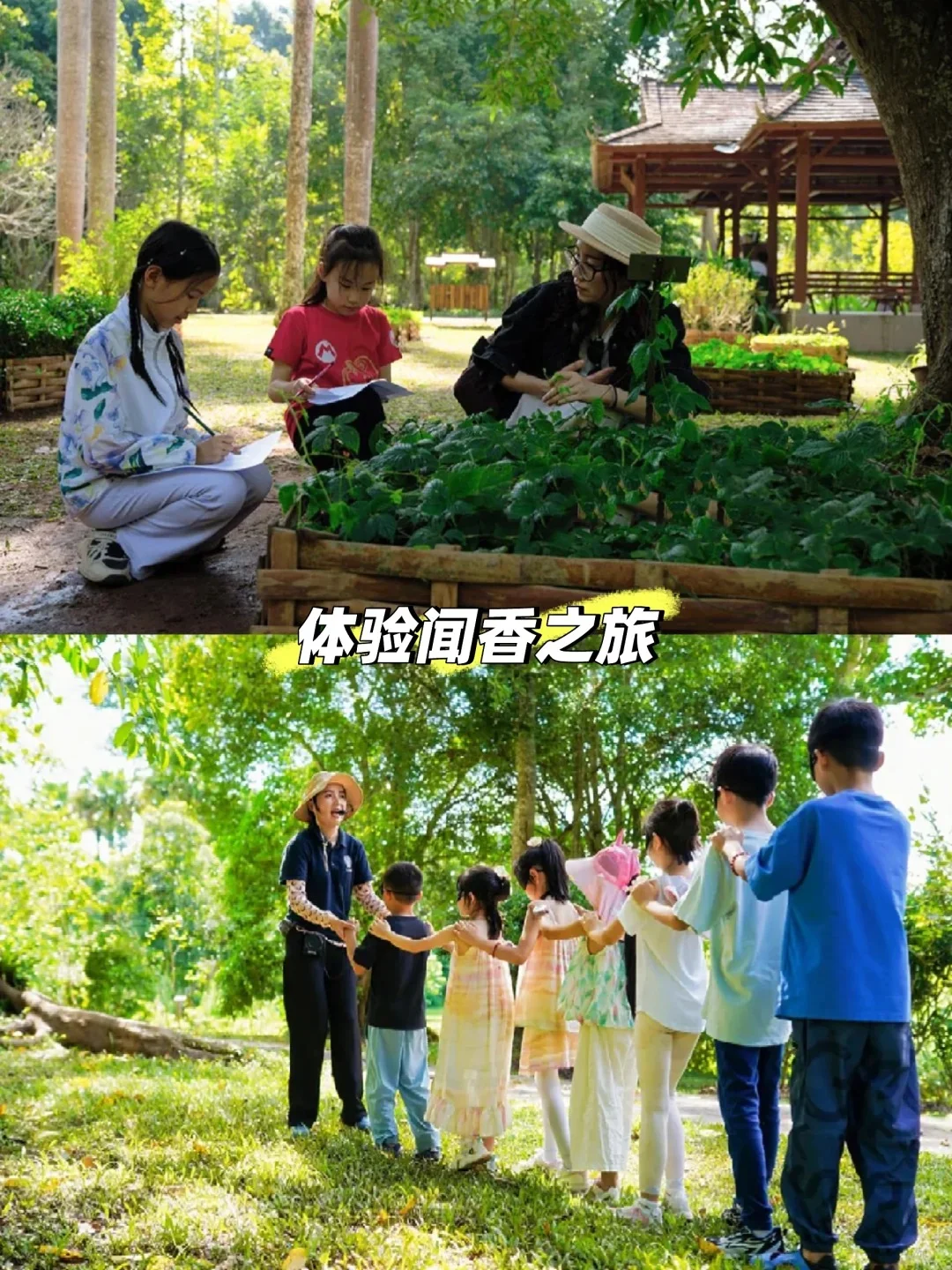 人生建议:带娃去西双版纳,一定要寒假去!