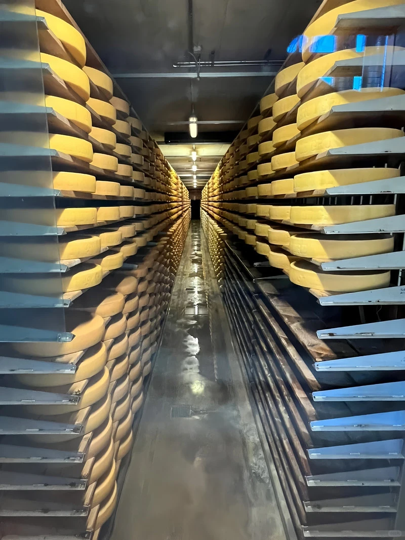 🧀洛桑格吕耶尔的童话小镇吃遍奶酪香