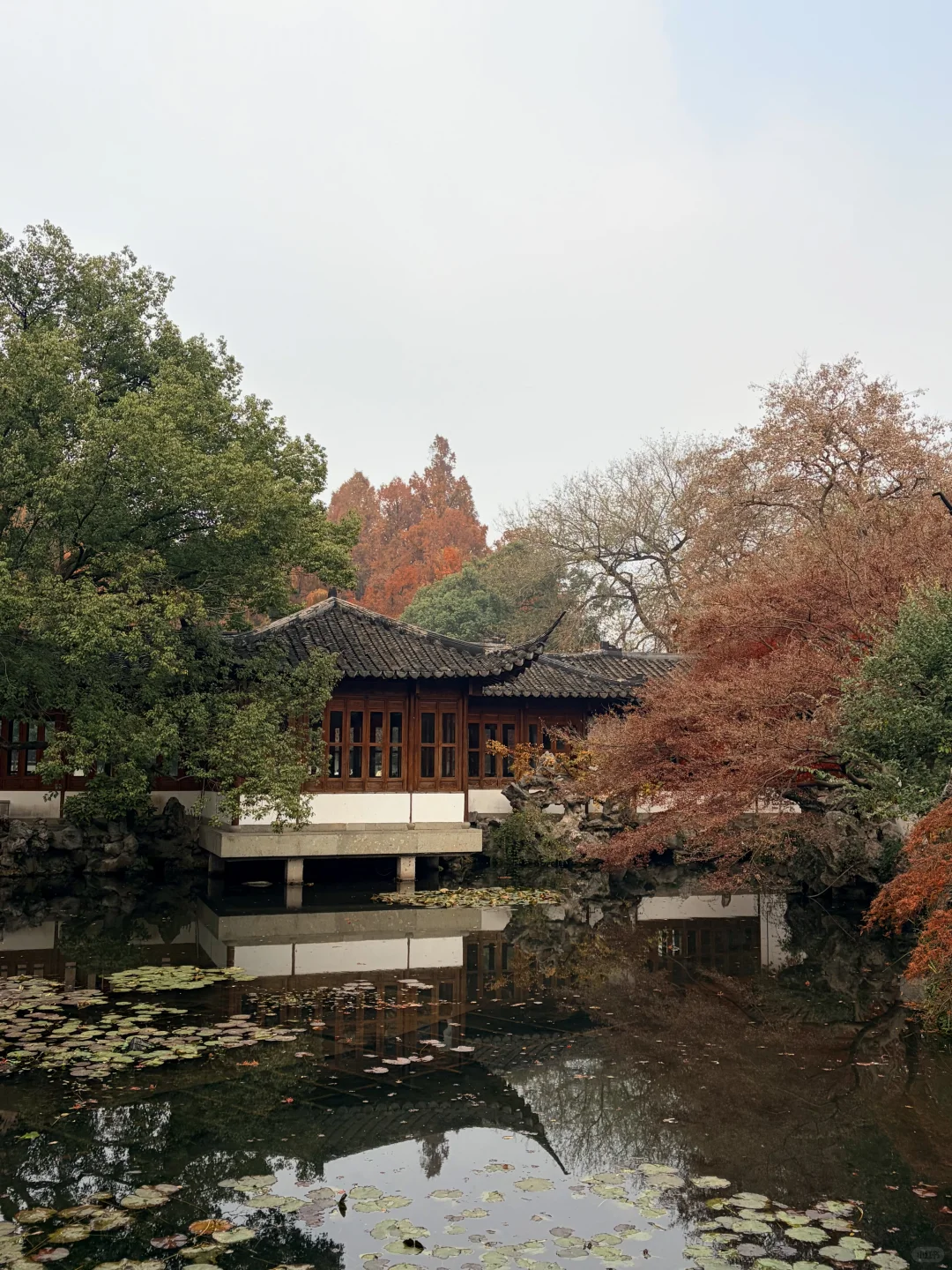 西湖边被低估的郭庄，藏着江南独有的温柔