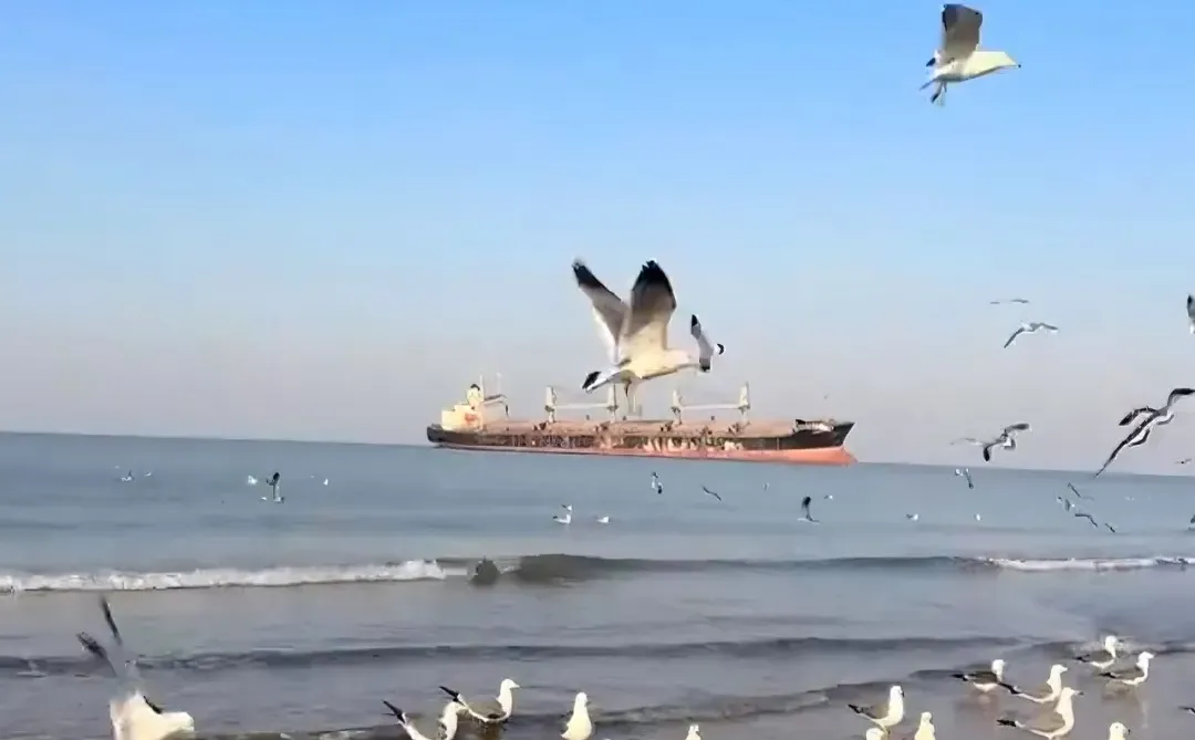 劝你冬威海前！先看完这篇再决定