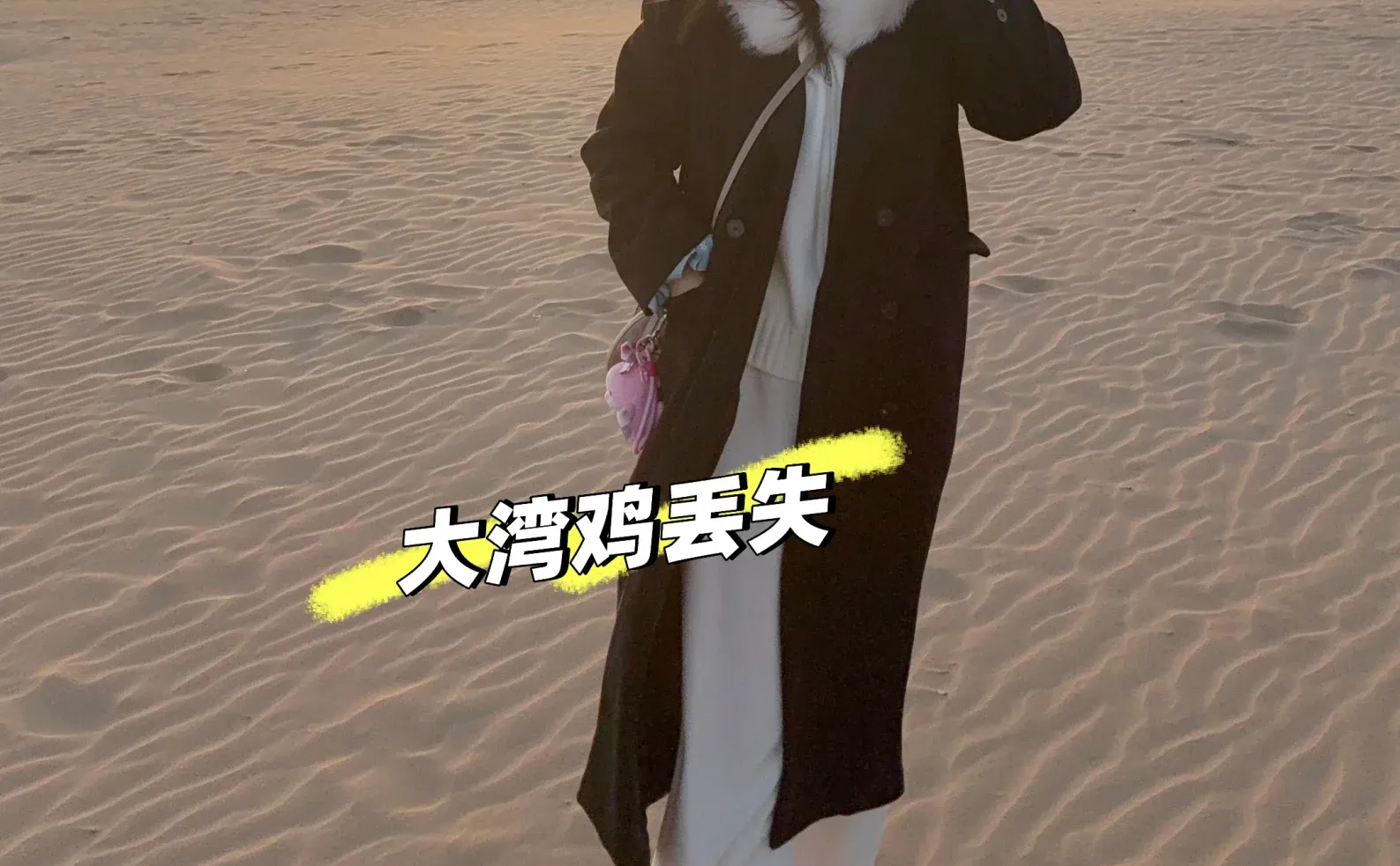 青岛旅游 丢失大湾鸡乐融融挂件一枚