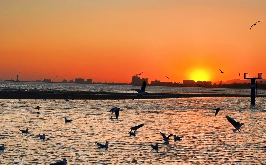 秦皇岛冻海美到失语❄️下月一起看冰河世纪‼️