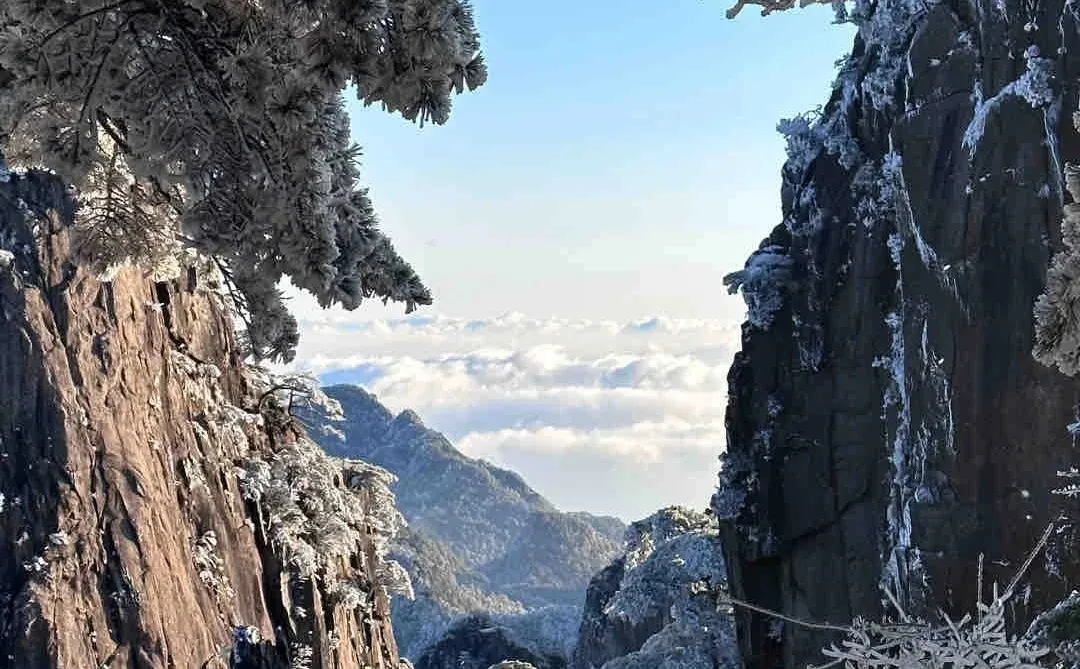 2026全新｜黄山北站到黄山各景区交通全攻略