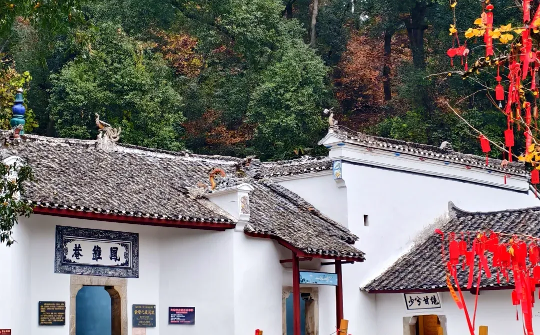 2025湖北旅游新攻略！“赤黄红”潮天下，这